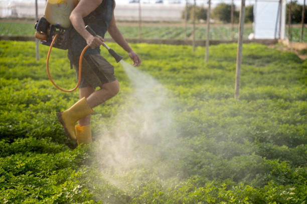 Pest Control Cost in North Fort Myers, FL