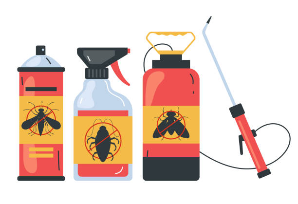 Best Termite Control Services  in North Fort Myers, FL